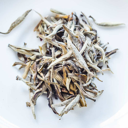 Loose leaf silver tip white tea on a white ceramic plate.