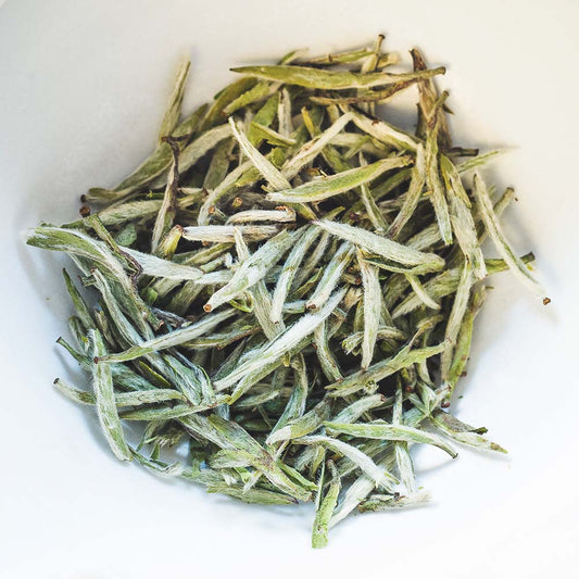 Silver Tip White