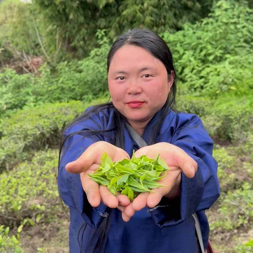 Special Samcholing Harvest