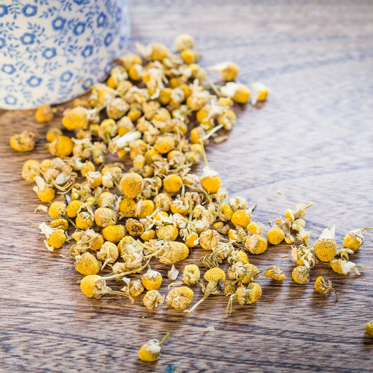 individual flowers of our chamomile tea