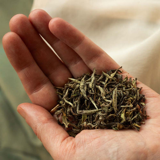 Nepali Himalayan Spring