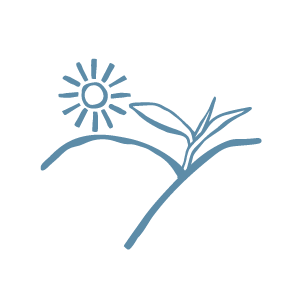 icon of a plant growing and the sun