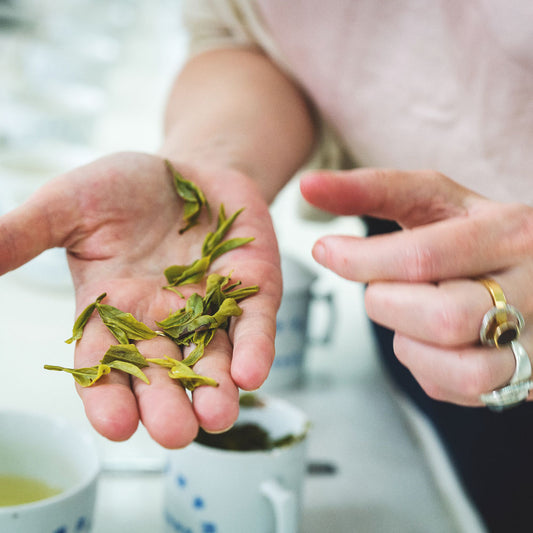 Chinese Longjing