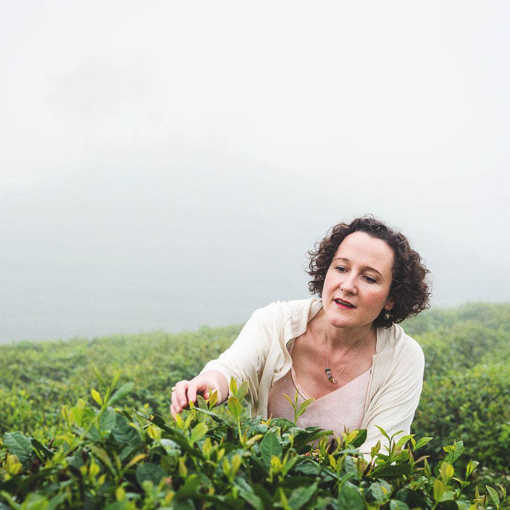 Chinese Longjing
