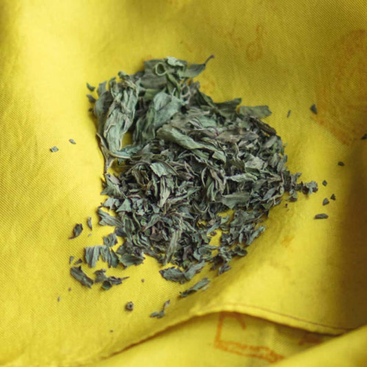 Malawi Spearmint