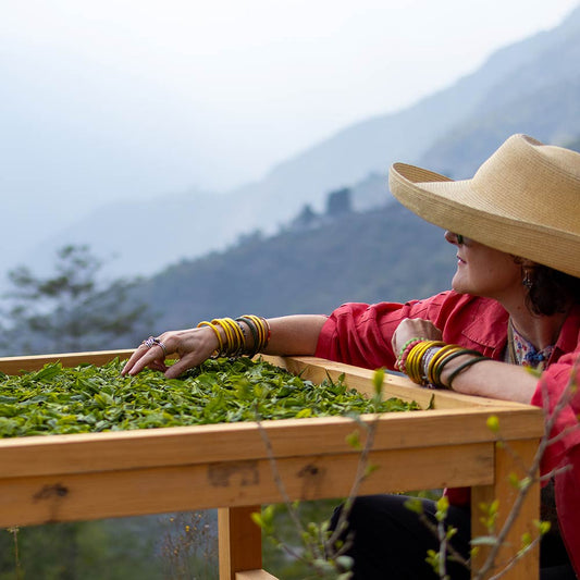 Special Samcholing Harvest