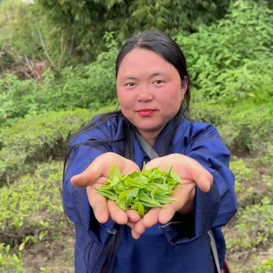 Special Samcholing Harvest